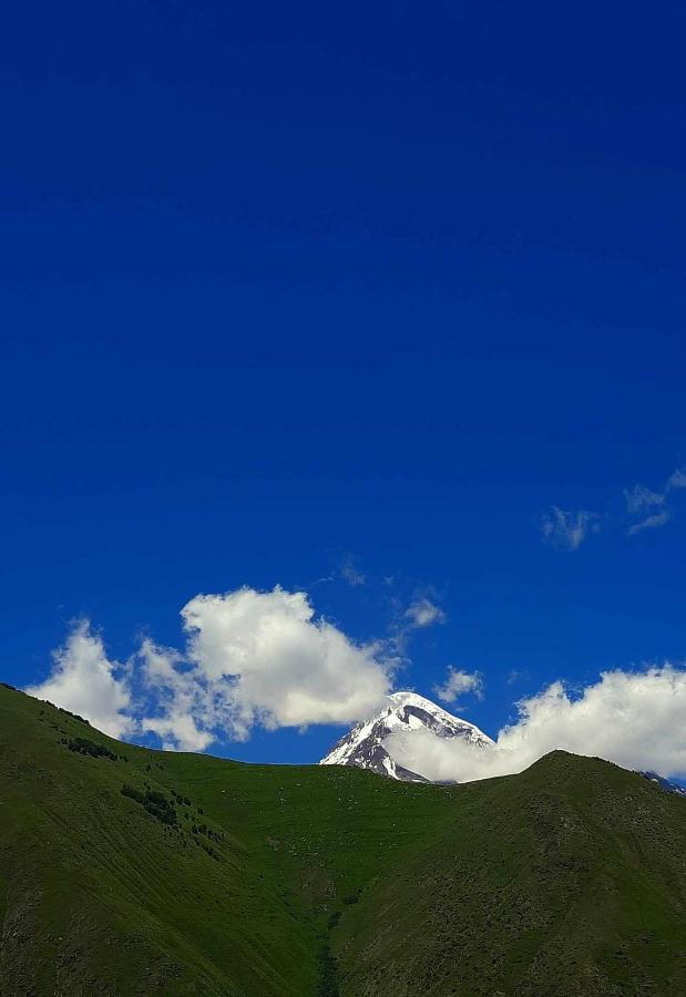 Trip Zone Kazbegi Lägenhet Exteriör bild